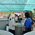 hsTHPTthamquang (165)