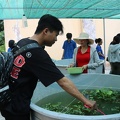 hsTHPTthamquang (166)